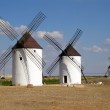 2005 – La Mancha on the route of Don Quixote 2005 – La Mancha on the route of Don Quixote