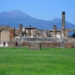 2009 – Naples, Herculaneum and Pompeii 2009 – Naples, Herculaneum and Pompeii