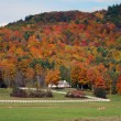 2010 – Autumn in Vermont 2010 – Autumn in Vermont