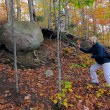2010 – Autumn in New Hampshire 2010 – Autumn in New Hampshire