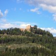 2004-Tuscany – The Guigiole Tree and Driving to Naples with foreign plates 2004-Tuscany – The Guigiole Tree and Driving to Naples with foreign plates