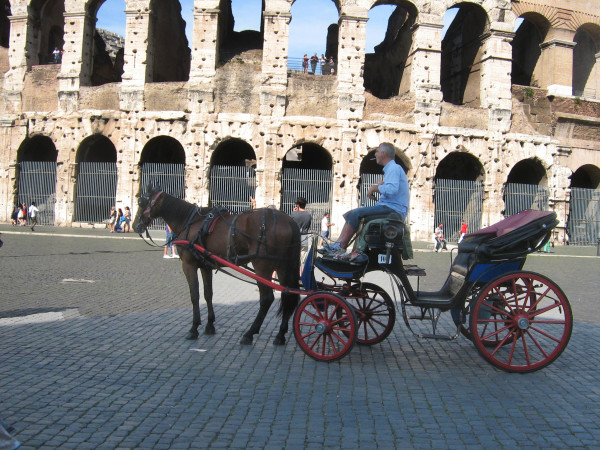 horseCarriageColosseo