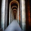 Pausylipon: Imperial Villa, ancient tunnels and eels Pausylipon: Imperial Villa, ancient tunnels and eels