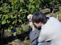 61_jr_bordeaux