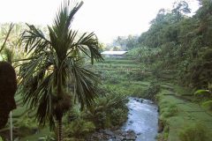 2001 - Bali, Indonesia