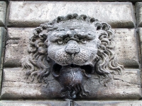 66-lion_montelpuc
