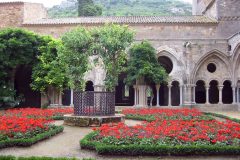 2004 - Languedoc-Roussillon