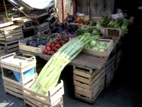 07_palermmarket-zucchini
