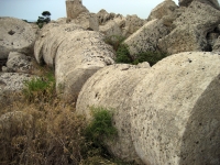 54_colum-selnunte