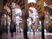 16-mesquita