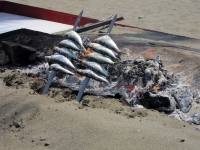 04-delsol-sardines