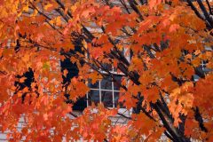 2010 - Autumn in Vermont