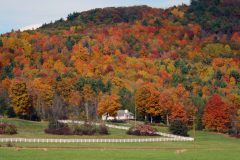 United States of America