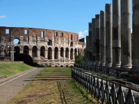 39-venusamorcoloseo